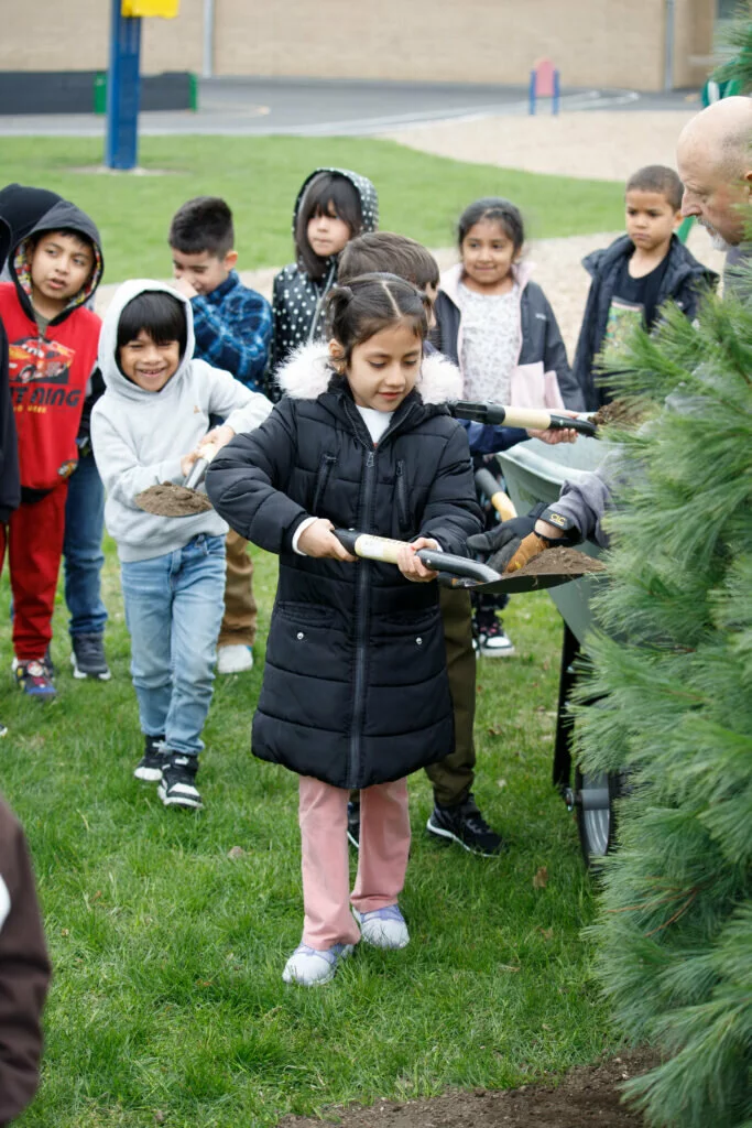 Students at Whitman took turns shoveling dirt onto the new eastern white pine