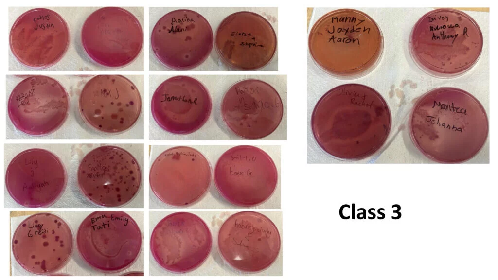 Coliforms results from Crowley and Huff's third class.
