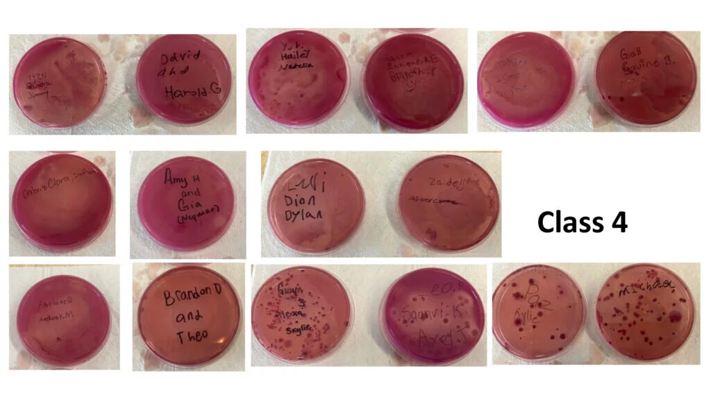 Coliforms results from Crowley and Huff's fourth class.