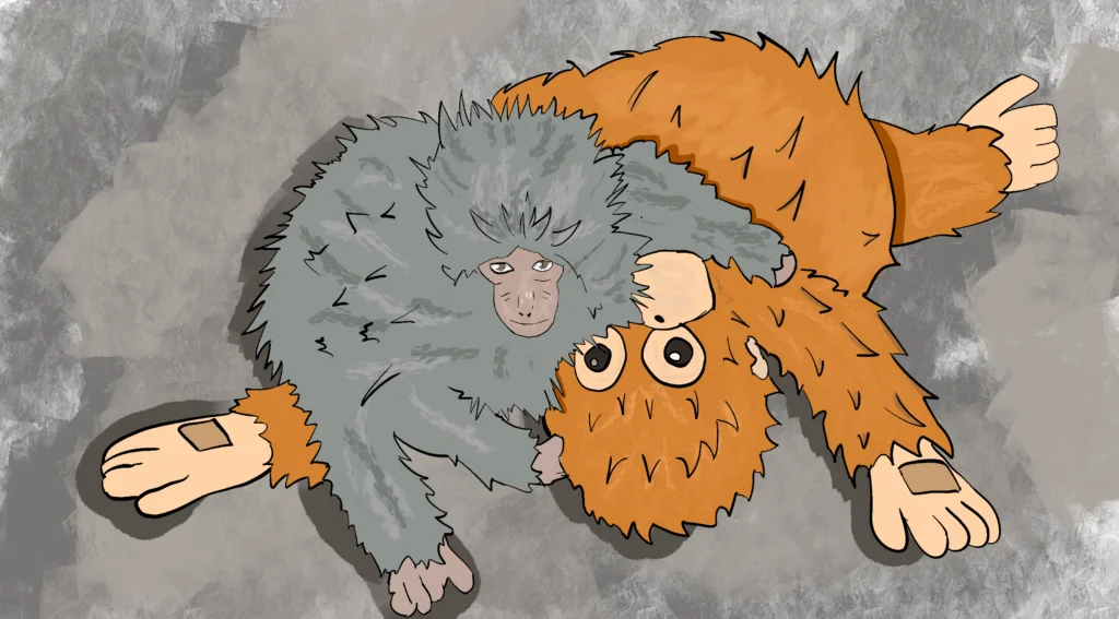 Twain fifth grader Damian M.'s drawing of Punch the Monkey, a baby Japanese macaque at the Ichikawa City Zoo in Japan. He gained viral attention on social media for his attachment to a large orangutan stuffed toy.